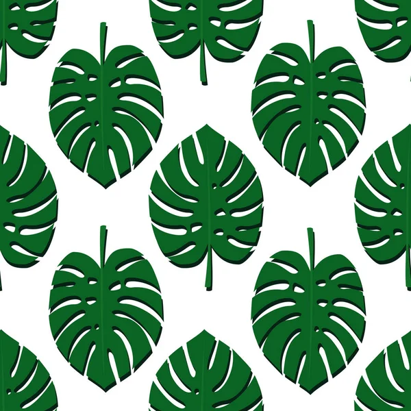 Monstera tropical deja patrón sin costuras sobre fondo blanco . — Vector de stock