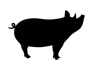 Vector black and white pig with tail silhouette