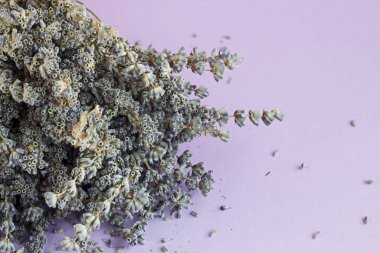 Mor yüzeyde kurutulmuş lavanta çiçeklerinin yakın plan çekimi.