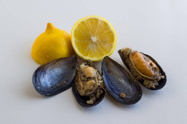 Beyaz zemin üzerinde taze limon bulunan geleneksel Türk midyeleri