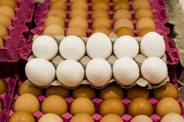 Çiğ kahverengi ve beyaz tavuk yumurtalarının yakın plan çekimi.