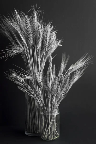 Куча Пшеницы Ячменя Стеклянных Вазах Черное Белое — стоковое фото