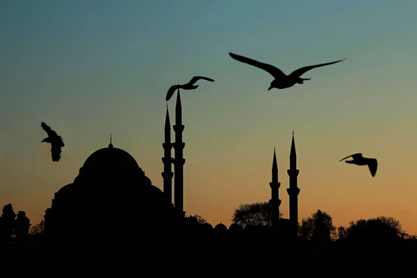 The Suleymaniye Mosque of Istanbul in silhouette at sunset.Classical view of it.Ramadan concept.
