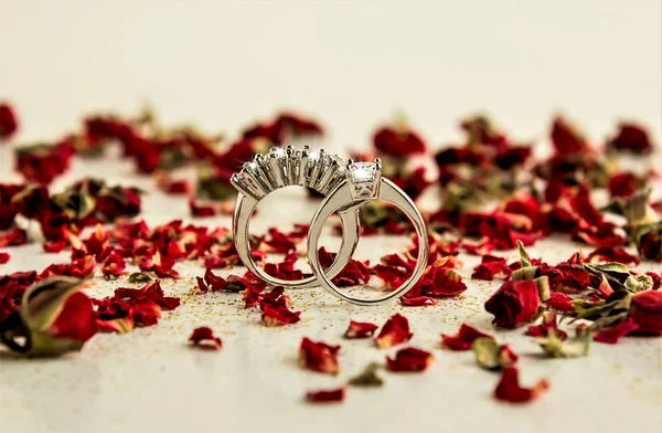 Five Single Stone Rings Dry Red Roses White Surface — Stock Photo, Image