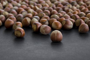 Siyah üzerine olgun fındıklar ve kopyalama alanı seçmeli odağı.