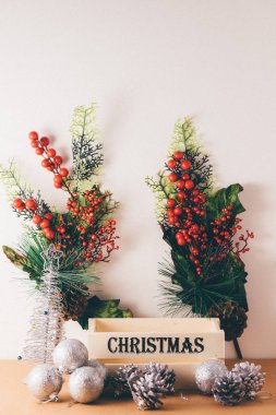 Ökseotu kutusuyla Xmas