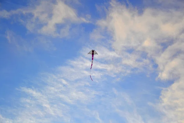 Paper Kite Exmouth Blue Sky Sunny Day — Stock Photo, Image