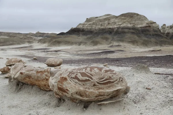 Bisti badlands, De-na-zin wildness area, New Mexico — стокове фото