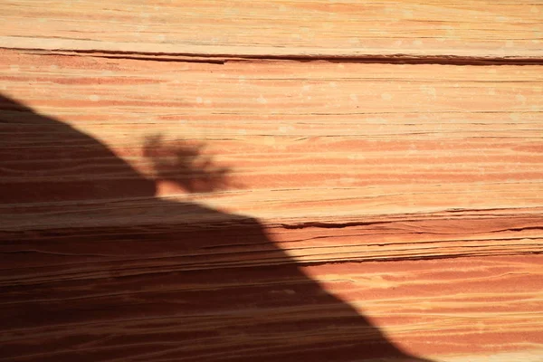 Rock formations in the North Coyote Buttes, part of the Vermilio — 图库照片