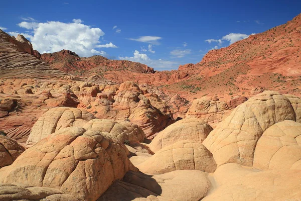 Rock formations in the North Coyote Buttes, part of the Vermilio — Stok fotoğraf