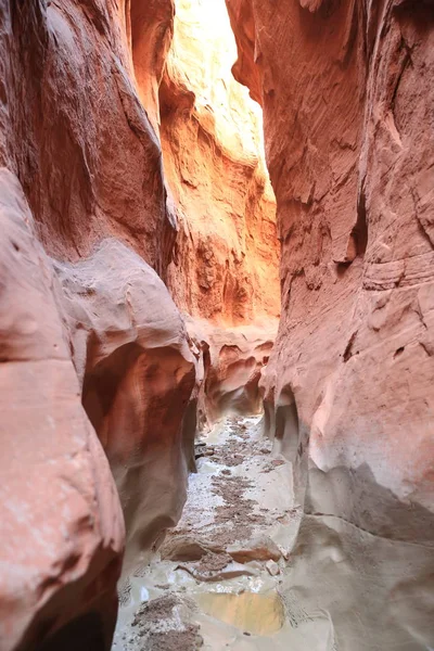 Dry fork slot Canyon, Grand Staircase National Monument, Escalan — 스톡 사진