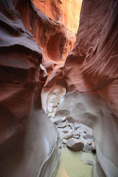 Ranura de tenedor seco Cañón, Grand Staircase Monumento Nacional, Escalan —  Fotos de Stock