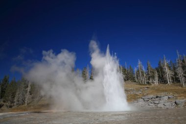  Grand geyser erupting on background of blue sky,Yellowstone NP, clipart