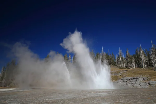 Grand geyser erupting on background of blue sky,Yellowstone NP, — Stock Photo, Image