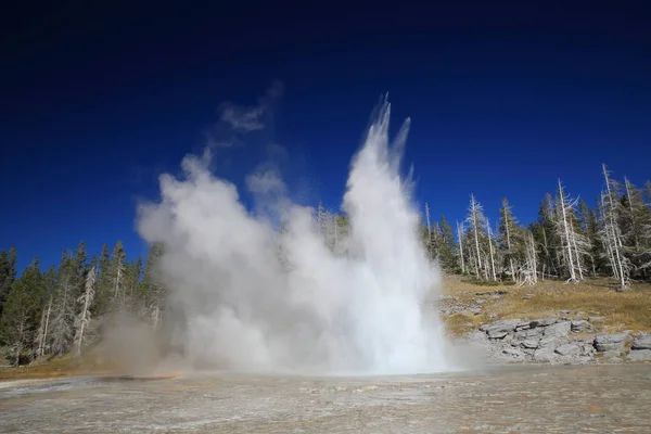 Wielki gejzer erupcji na tle błękitnego nieba, Yellowstone Np, — Zdjęcie stockowe