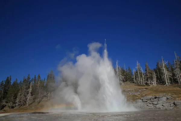 Великий гейзер, що вивергається на тлі блакитного неба, Yellowstone NP , — стокове фото