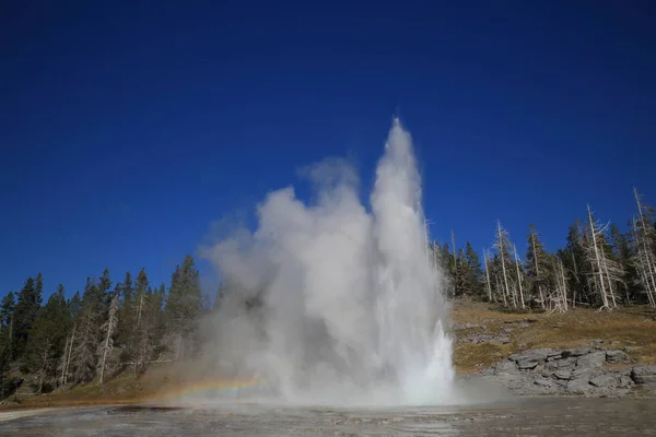 Gran géiser en erupción en el fondo del cielo azul, Yellowstone NP , — Foto de Stock