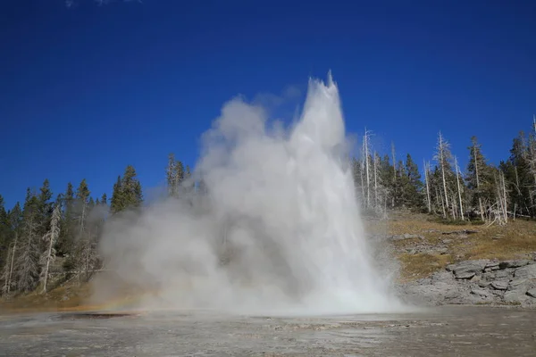 Grand geyser en éruption sur fond de ciel bleu, Yellowstone NP , — Photo
