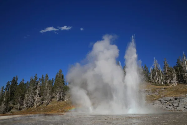 Grande gêiser em erupção no fundo do céu azul, Yellowstone NP , — Fotografia de Stock