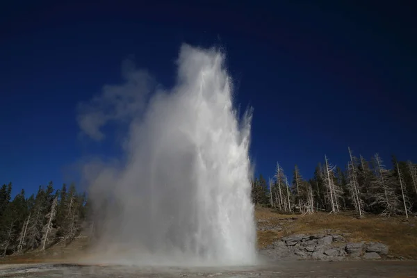 Nagy gejzír tör ki a háttérben a kék ég, Yellowstone Np, — Stock Fotó