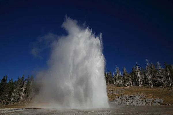 Grande gêiser em erupção no fundo do céu azul, Yellowstone NP , — Fotografia de Stock