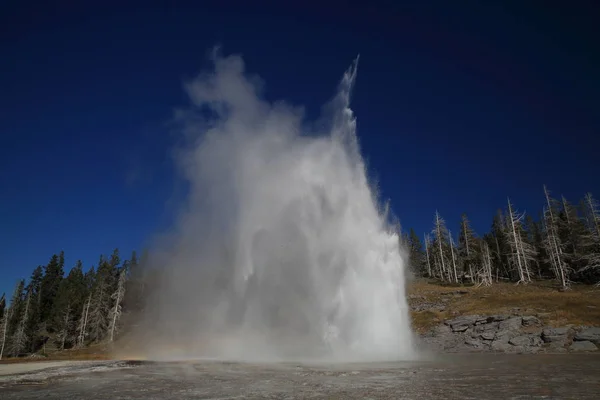 Grand geyser erupting on background of blue sky,Yellowstone NP, — Stock Photo, Image
