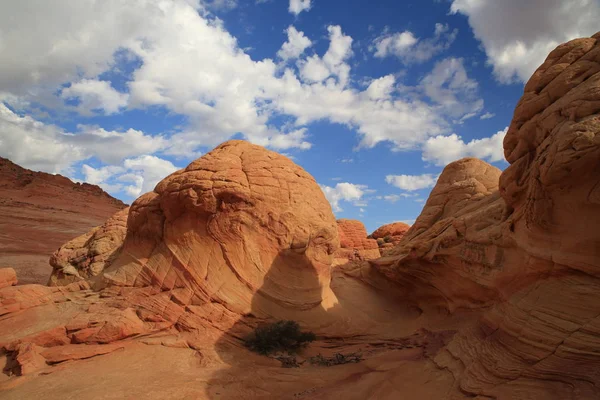 Rock formations in the North Coyote Buttes, part of the Vermilio — Stock Photo, Image
