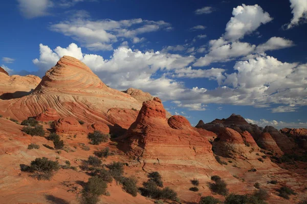 Rock formations in the North Coyote Buttes, part of the Vermilio — Stok fotoğraf