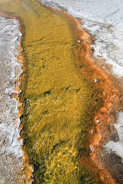 Les gisements minéraux qui s'éloignent de la piscine Sapphire à Biscuit Basi — Photo