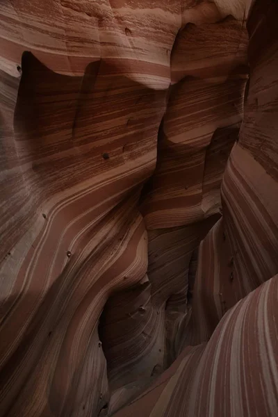 斑马槽峡谷犹他州，美国 — 图库照片