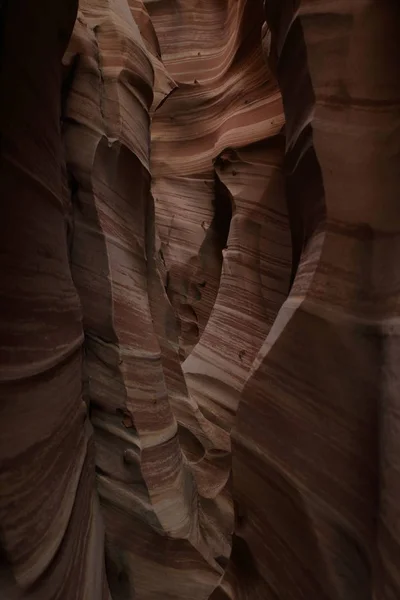 얼룩말 슬롯 협곡 유타, 미국 — 스톡 사진