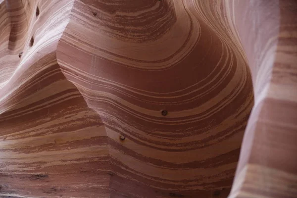 Cañón de Ranura de Cebra Utah, Estados Unidos —  Fotos de Stock