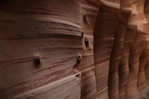 Zebra Slot Canyon Utah, VSA — Stockfoto