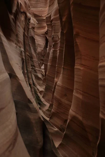 Cañón de Ranura de Cebra Utah, Estados Unidos —  Fotos de Stock