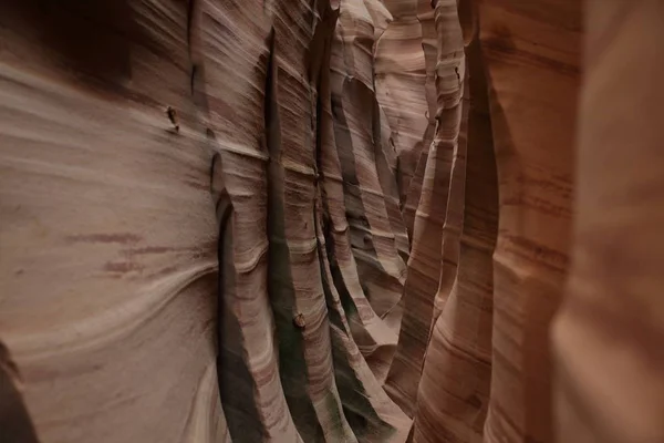 얼룩말 슬롯 협곡 유타, 미국 — 스톡 사진