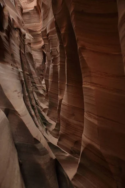 Cañón de Ranura de Cebra Utah, Estados Unidos —  Fotos de Stock