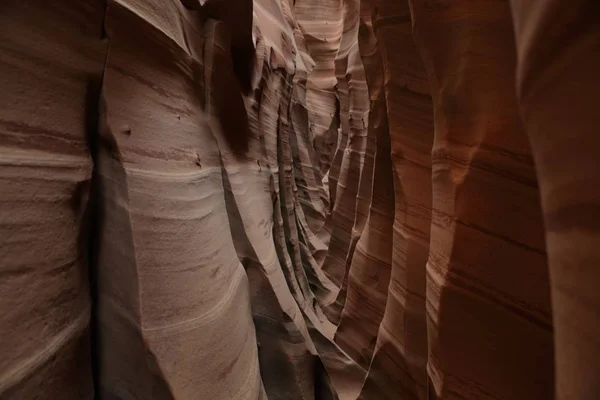 Cañón de Ranura de Cebra Utah, Estados Unidos —  Fotos de Stock