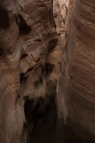 Zebra yuvası kanyona Utah, ABD — Stok fotoğraf