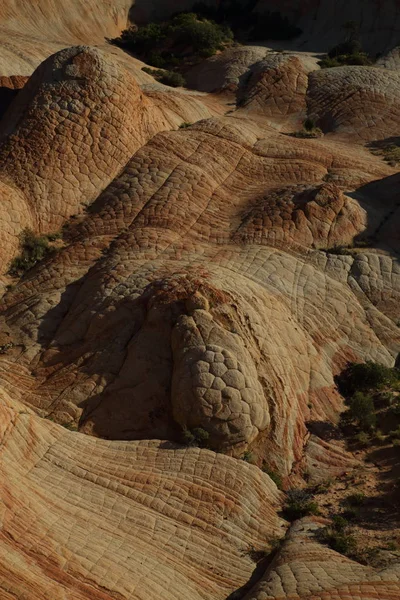 Yant Flat Candy Cliffs, Юта США — стоковое фото