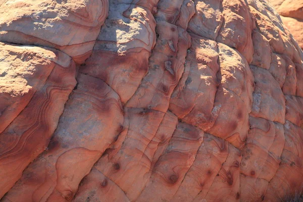 Yant Flat - Candy Cliffs Utah, Egyesült Államok — Stock Fotó