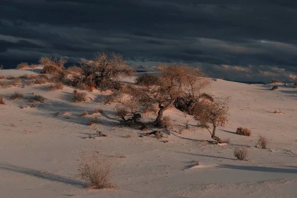 White Sands National Monument, New Mexico, USA — Stock Photo, Image