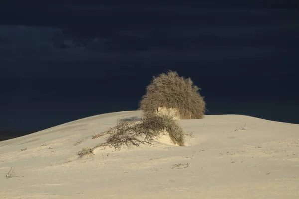 White Sands National Monument, New Mexico, USA — Stock Photo, Image