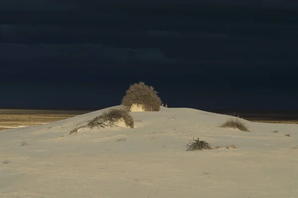 White Sands National Monument, New Mexico, USA — Stock Photo, Image