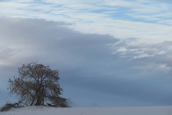 White Sands National Monument, New Mexico, USA — Stock Photo, Image