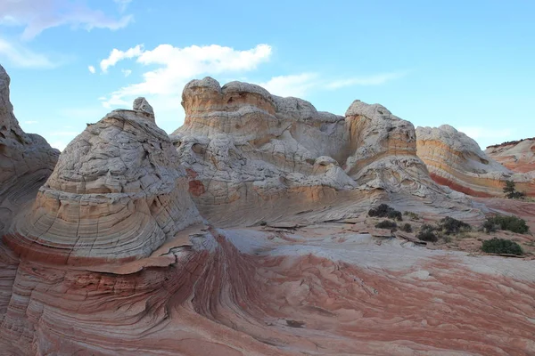 Λευκό τσεπάκι στο Εθνικό Μνημείο Vermilion Cliffs, Αριζόνα, — Φωτογραφία Αρχείου