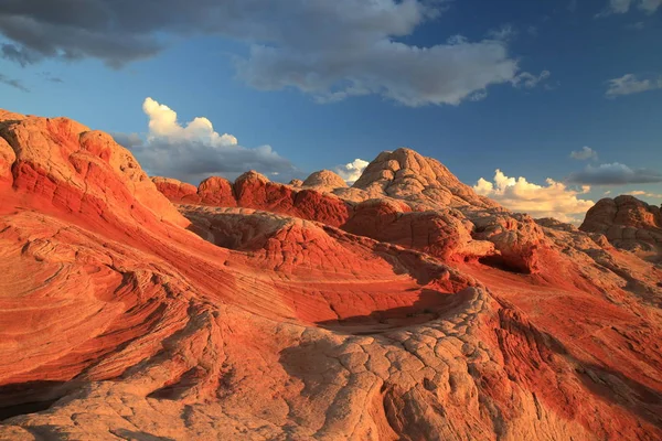 Bolso branco no monumento nacional dos penhascos do vermelhão, Arizona , — Fotografia de Stock