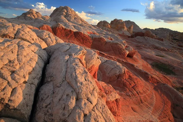 Bolso branco no monumento nacional dos penhascos do vermelhão, Arizona , — Fotografia de Stock