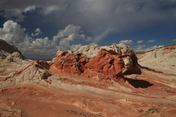 Bolso branco no monumento nacional dos penhascos do vermelhão, Arizona , — Fotografia de Stock