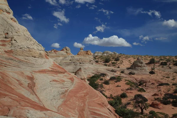 Bolsillo blanco en el monumento nacional de los acantilados de bermellón, Arizona , —  Fotos de Stock