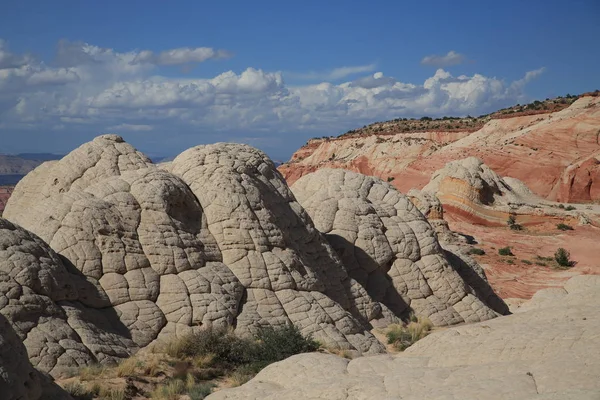 Bolso branco no monumento nacional dos penhascos do vermelhão, Arizona , — Fotografia de Stock